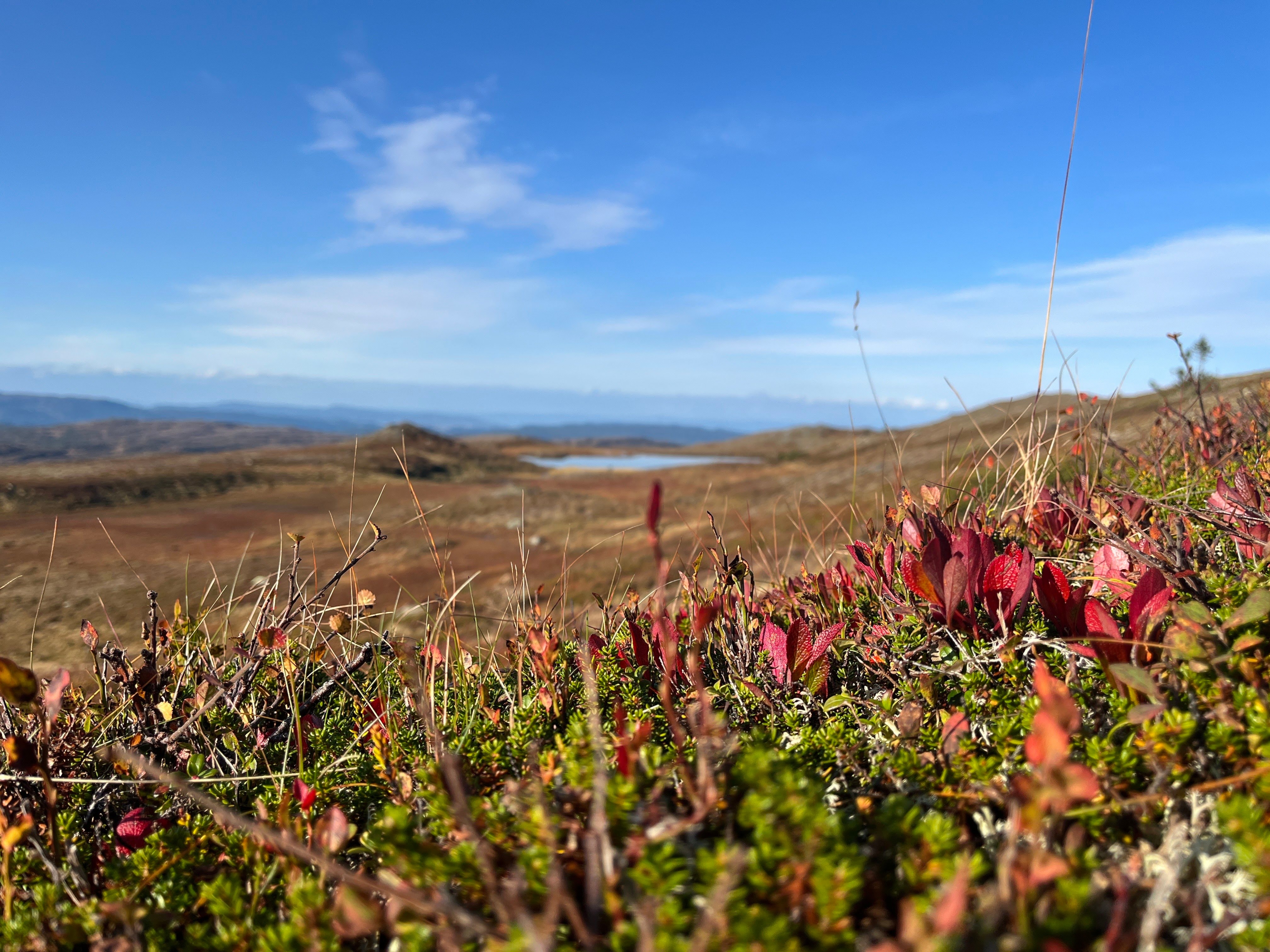 Månedens trimpost september og månedens trimpost oktober